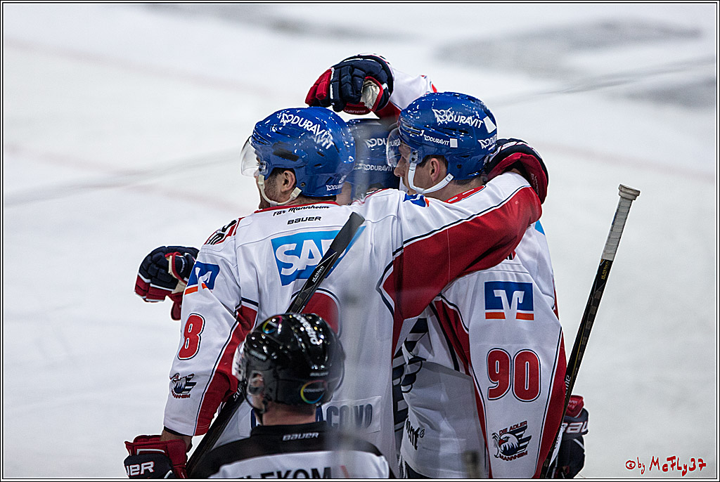 DEL, Koelner Haie - Adler Mannheim, 05.02.2017